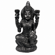 Karungali Dhanalakshmi Idol